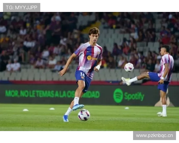 西甲冠军成员：菲利克斯的团队成就