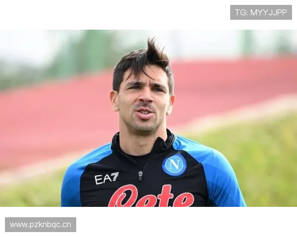 恩佐·费尔南德斯国家队与俱乐部表现差异解析