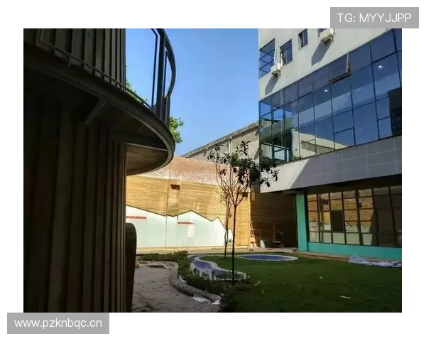 谌利军球场外的豪宅开party，邻居都说不像运动员啊！